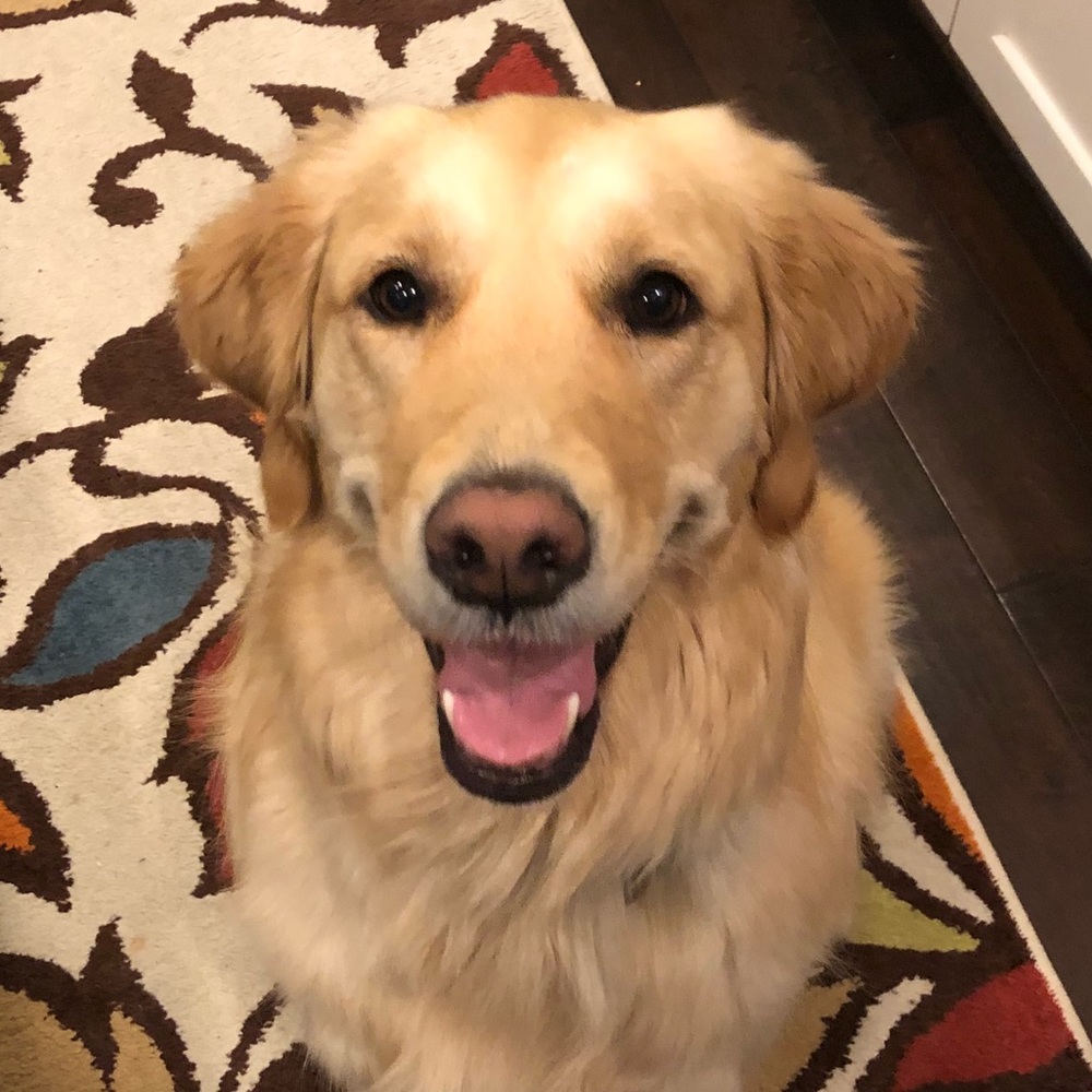 Meet your Posher, Quinn